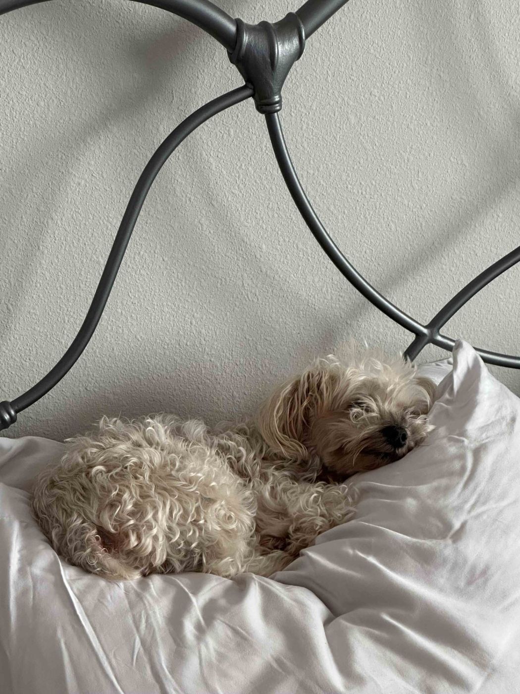 Phoebe curled up on a bed, an interior moment from the D-Squad world